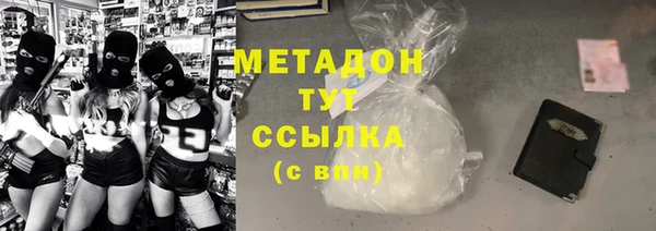 PSILOCYBIN Дмитриев