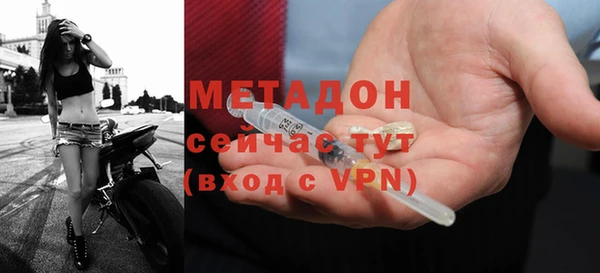 PSILOCYBIN Дмитриев