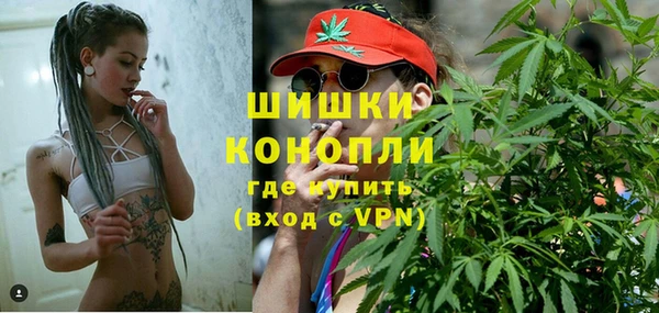 PSILOCYBIN Дмитриев