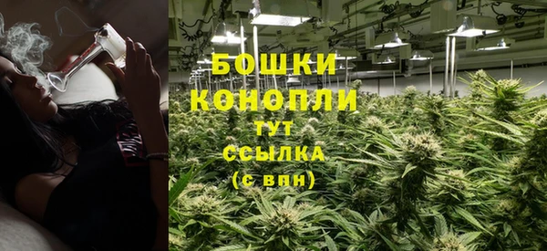 PSILOCYBIN Дмитриев