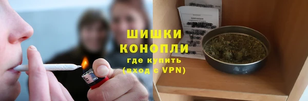 PSILOCYBIN Дмитриев