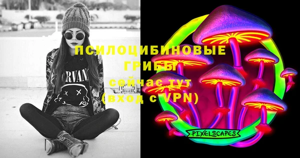PSILOCYBIN Дмитриев