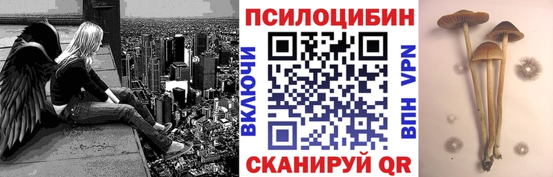 купить наркоту Междуреченск Псилоцибиновые грибы MAGIC MUSHROOMS
