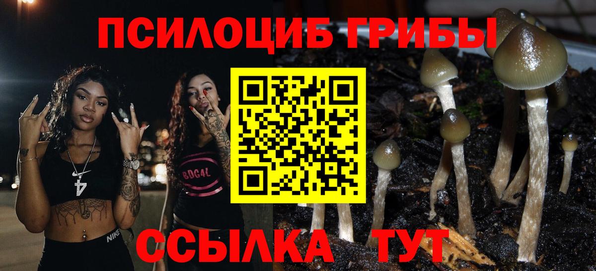 Псилоцибиновые грибы мицелий  Вход с VPN  Галлюциногенные грибы прущие грибы  Междуреченск 